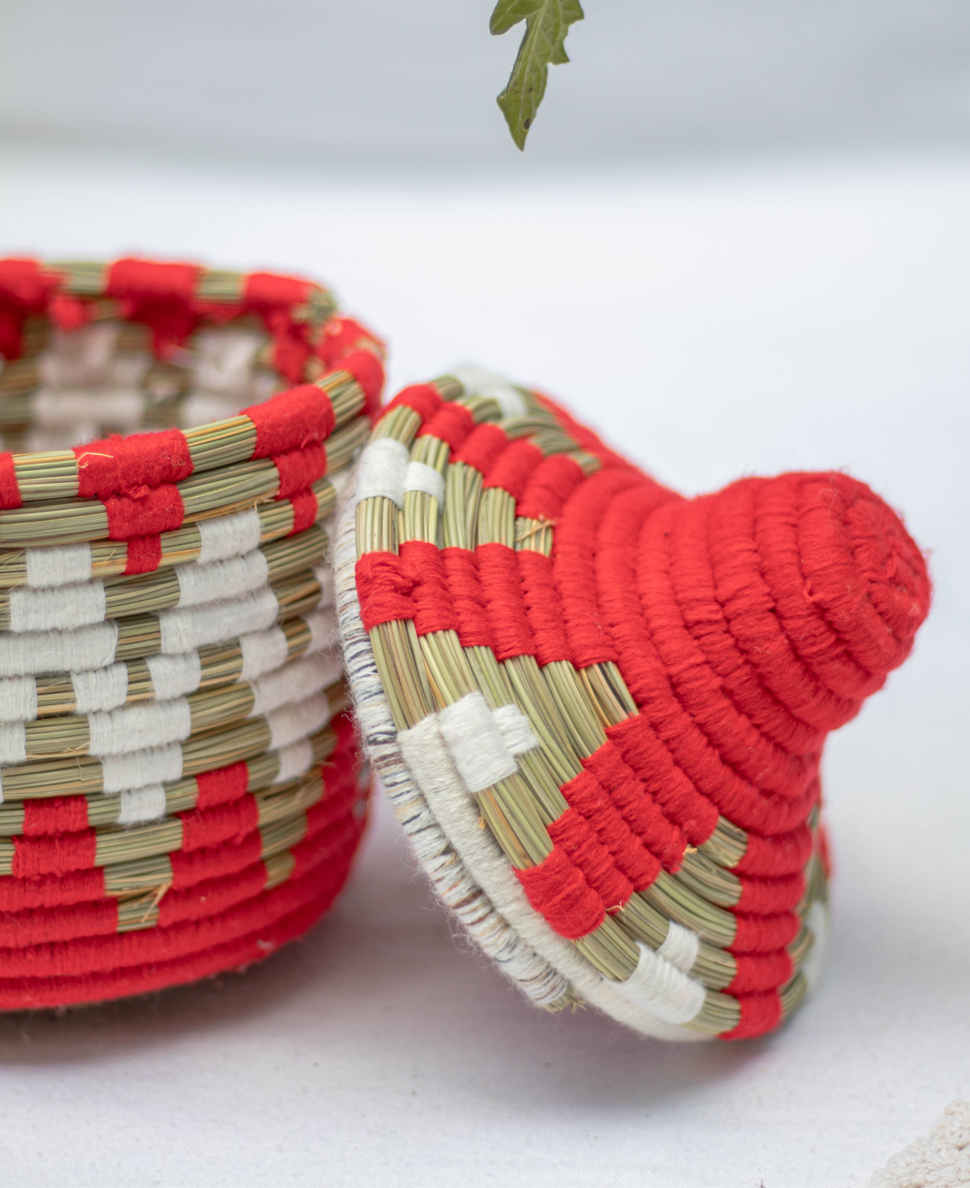 Hand-Woven Moroccan Wool Pot - 024