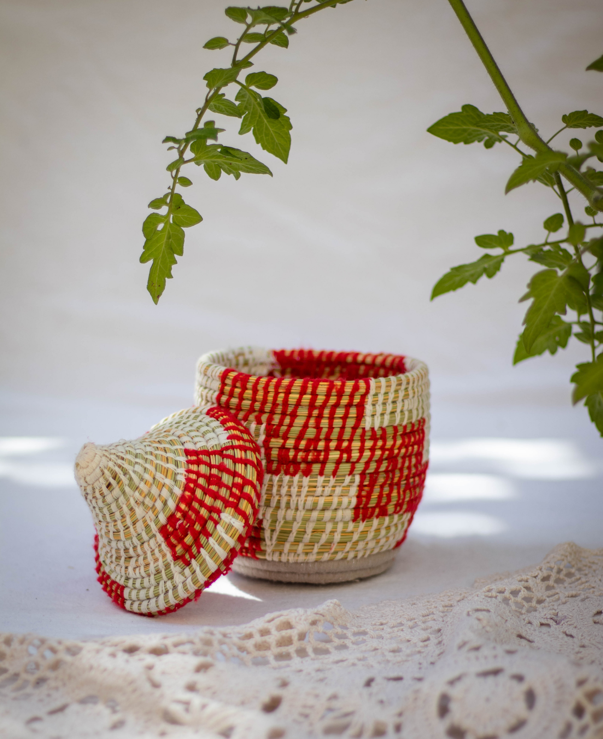 Hand-Woven Moroccan Wool Pot - 034
