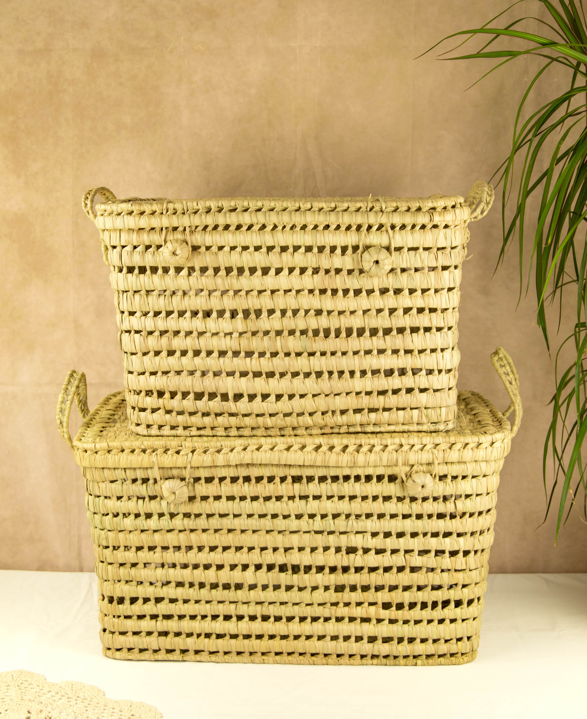 Handwoven Wicker Storage Trunk/Basket