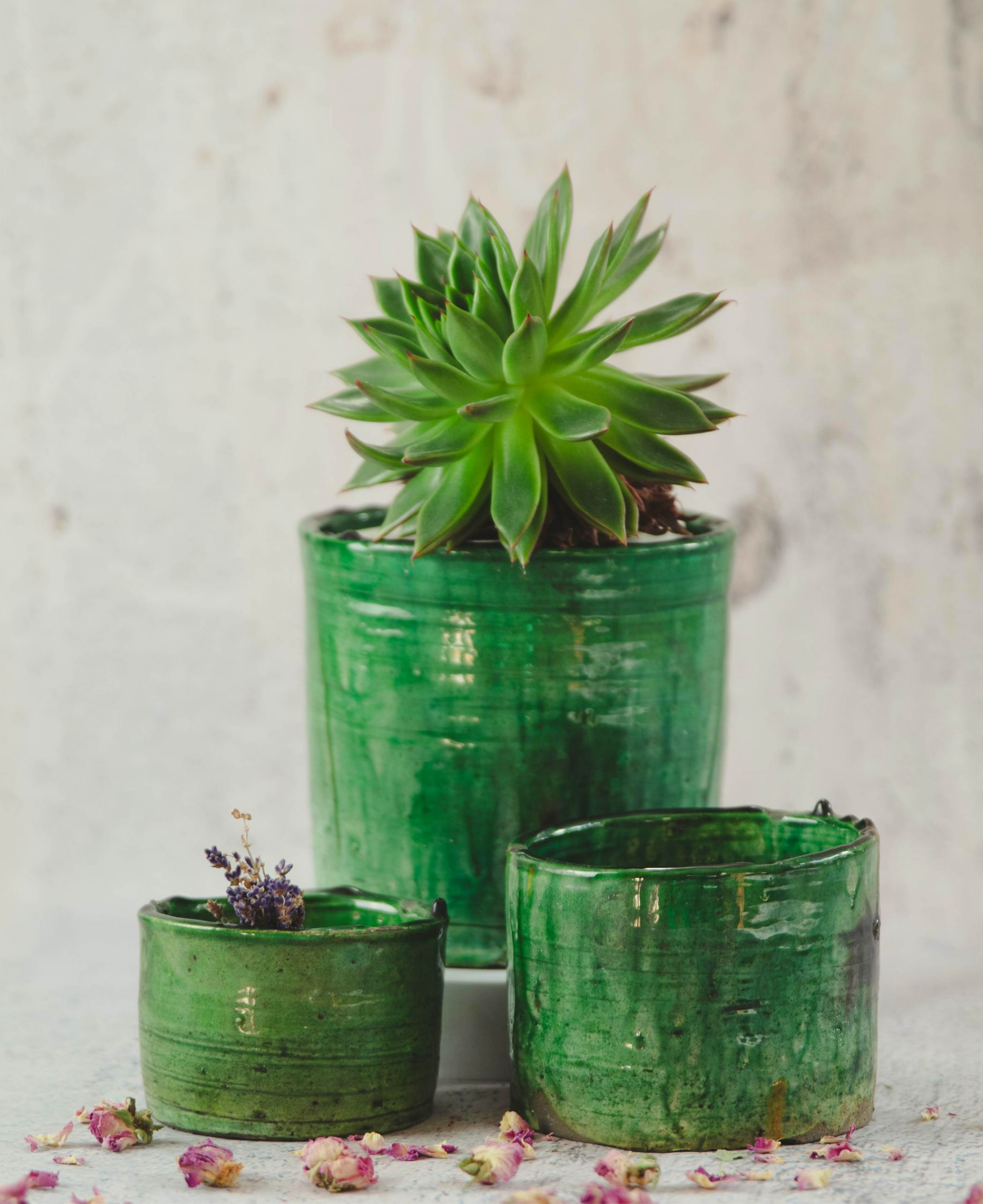 moroccan pot plant Green Tamegroute Planter Pot
