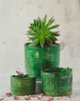Moroccan Vintage Tamegroute Planter Pot