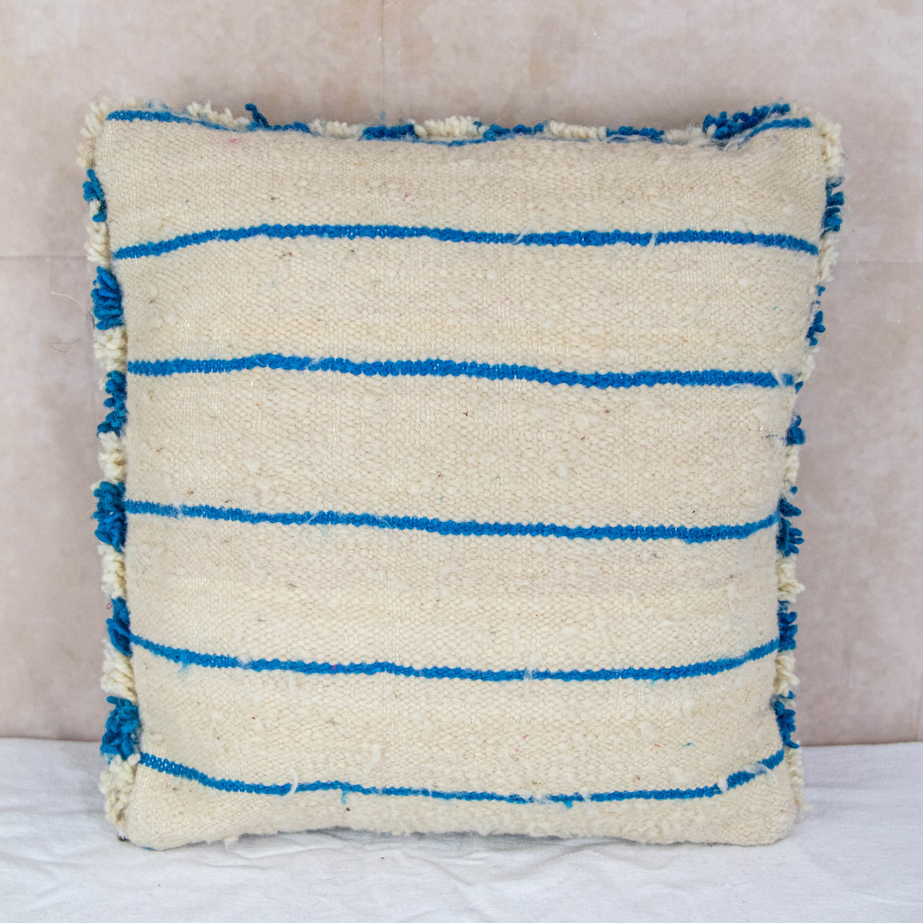 Blue & White Check Cushion Cover