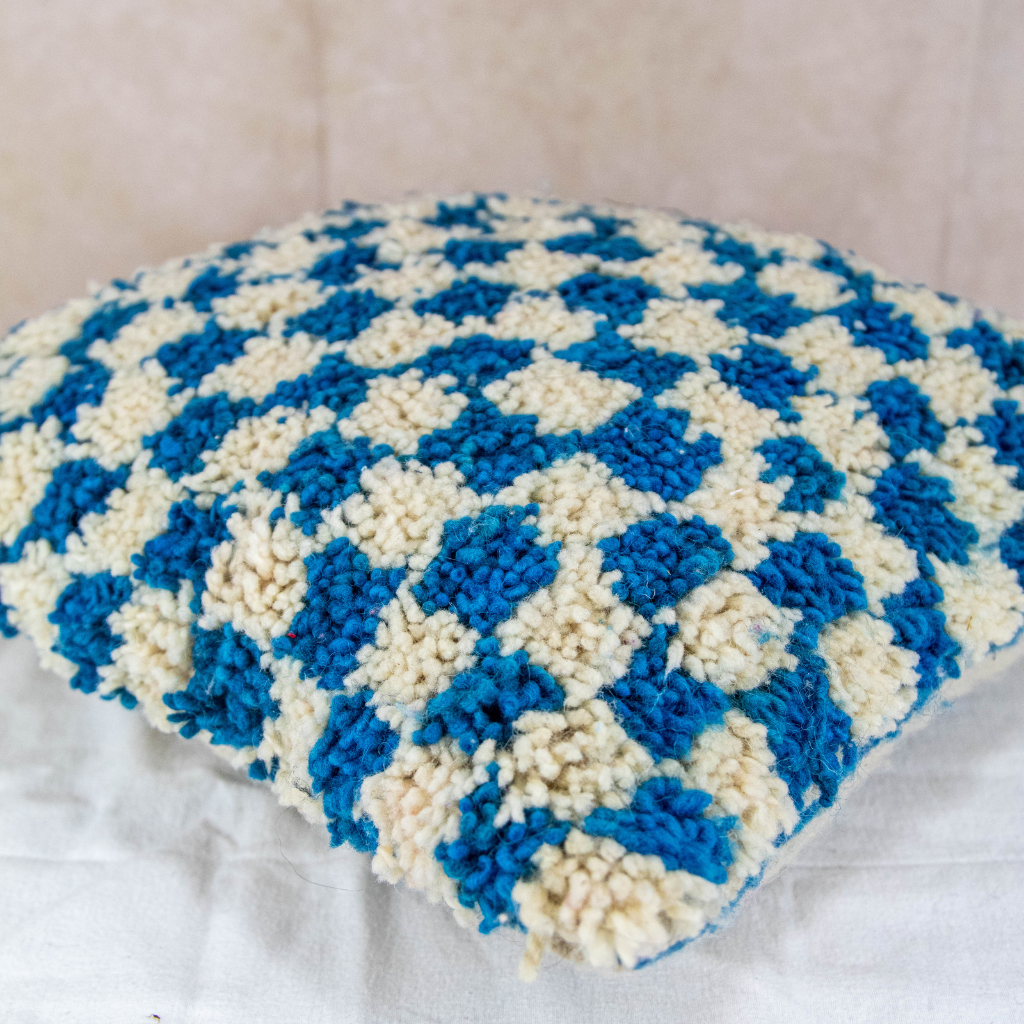 Blue & White Check Cushion Cover