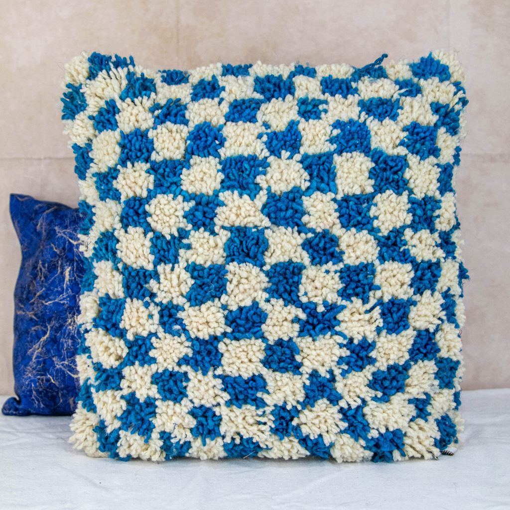 Blue & White Check Cushion Cover